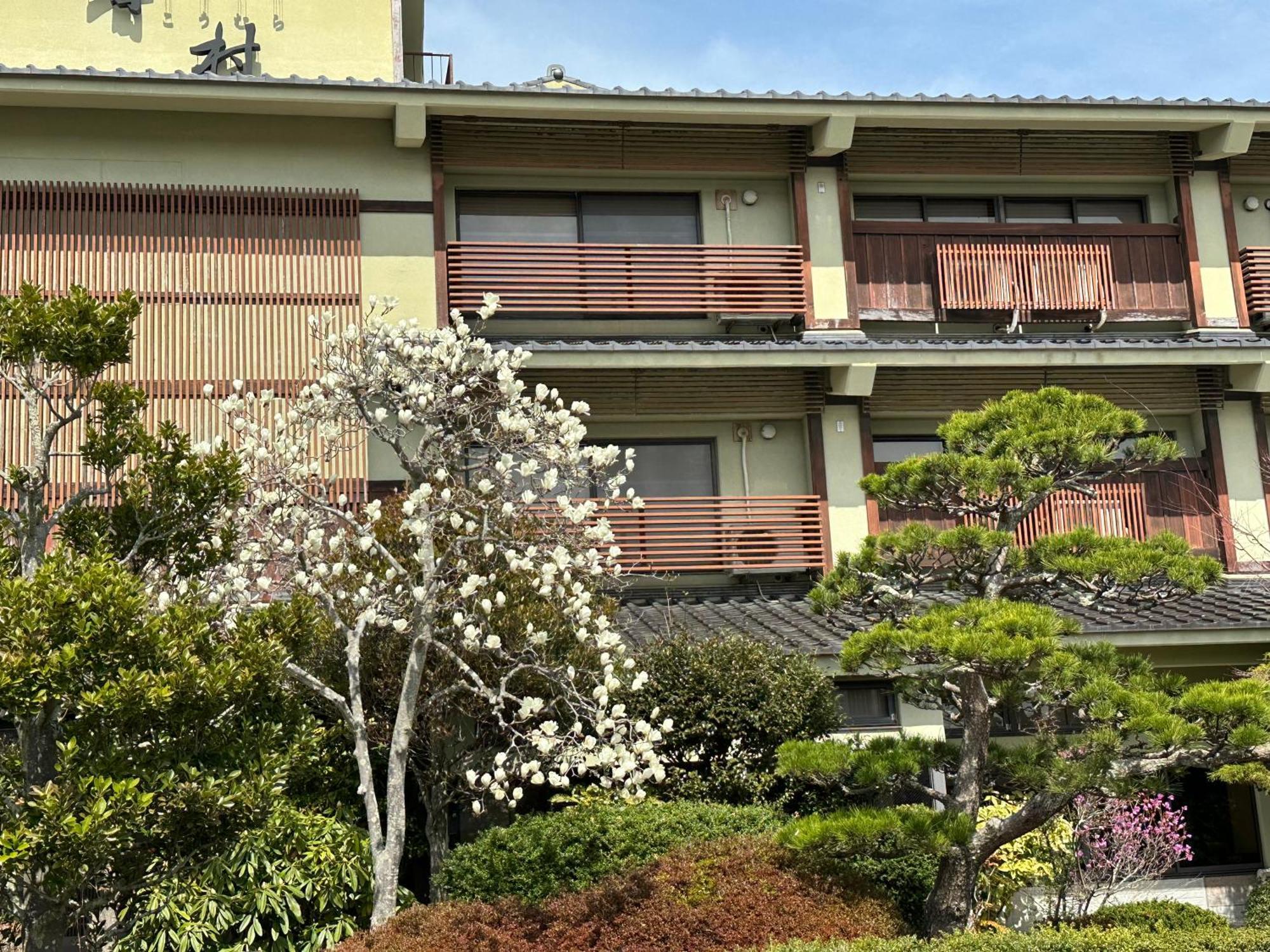 Matsushima Koumura Buitenkant foto